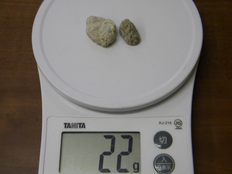 結晶体北投石22ｇ2個　写真画像