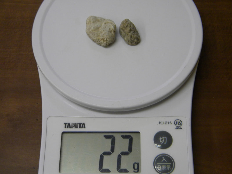 結晶体北投石22ｇ2個　写真画像