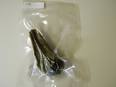 新情報　秋田産　熊胆　写真画像