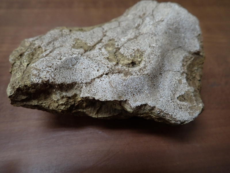 127番　台湾産お風呂用 台湾産北投石686g　写真画像