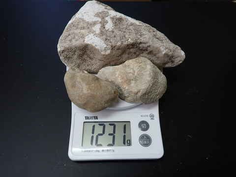 新入荷14番　お風呂用 玉川産北投石515gセット（プレゼント付き合計1231ｇ）　写真画像