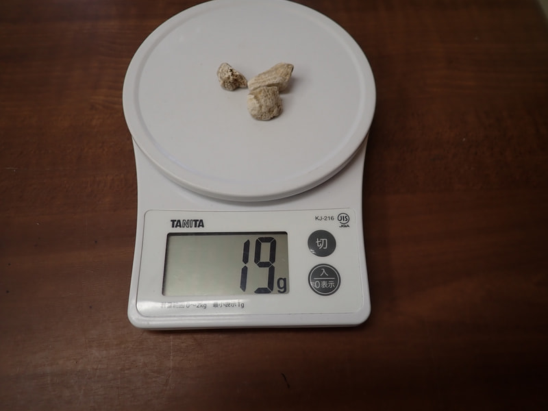 124番　結晶体北投石19g　写真画像