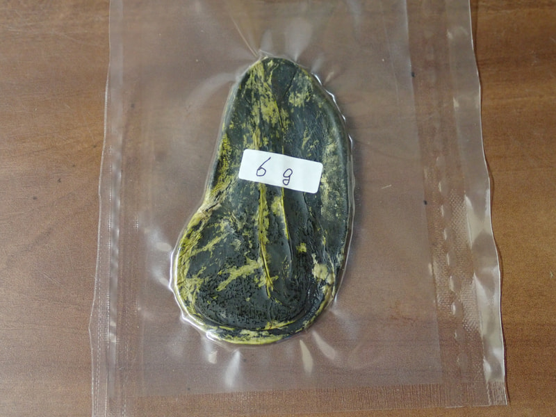 5番　新情報　最高級秋田産　熊胆6ｇ　写真画像