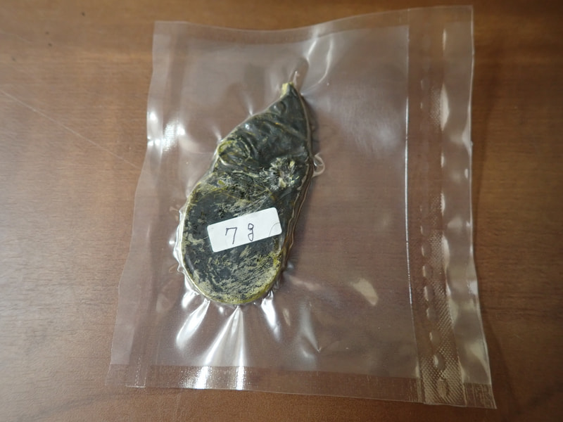 212番新情報　最高級秋田産　熊胆7ｇ　写真画像