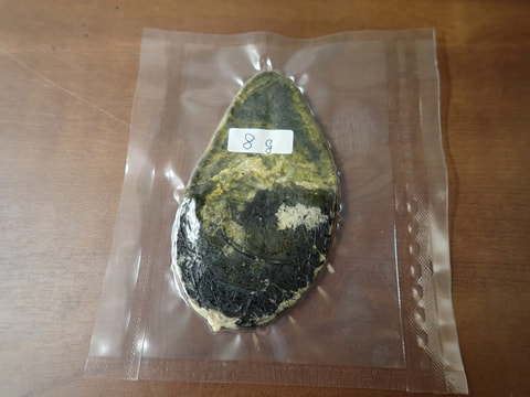 213番新情報　最高級秋田産　熊胆8ｇ　写真画像