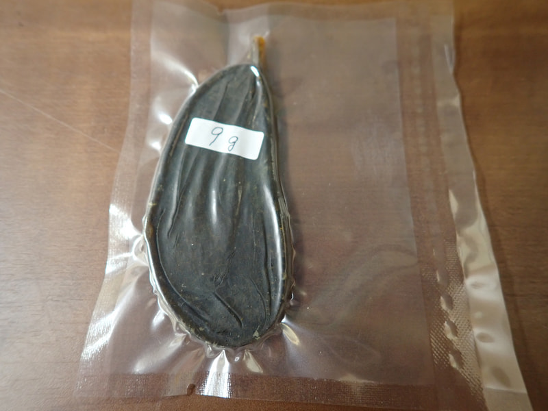 214番新情報　最高級秋田産　熊胆9ｇ　写真画像