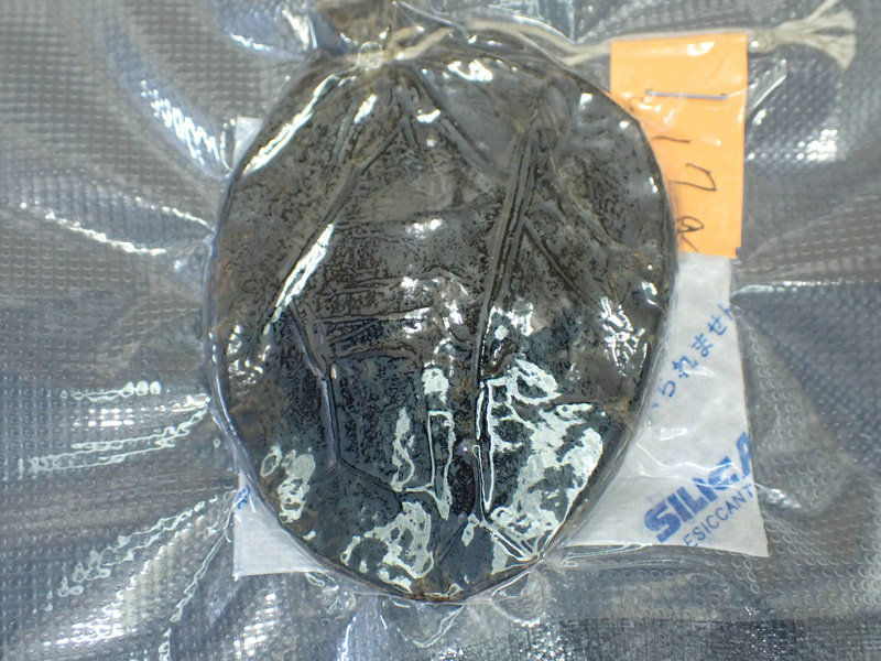 214番新情報　最高級秋田産　熊胆17ｇ　写真画像