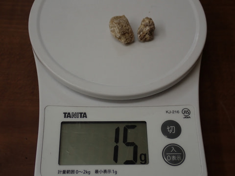 79番　結晶体北投石15g　写真画像