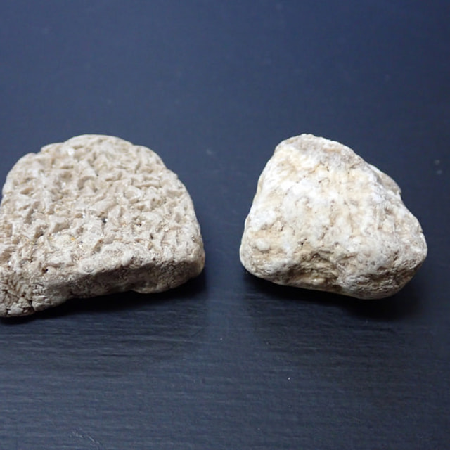 北投石 北投石・源泉希釈水・販売商品